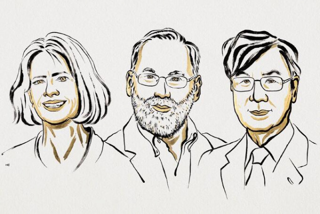 Niklas Elmehed © Nobel Prize Outreach